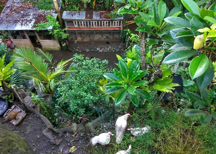 Homestay Undis Ubud (Bali)